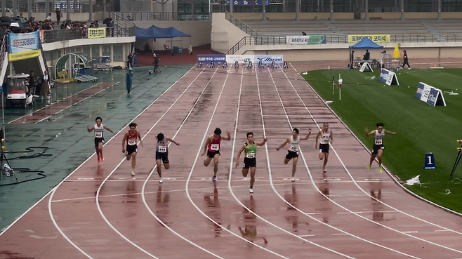 제6회 전국 초·중·고 학년별 육상경기대회 전경. /칠곡교육지원청 제공