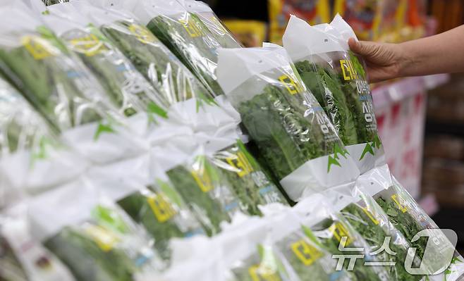 서울 시내 한 기업형슈퍼마켓 매장에 상추가 진열돼 있다(사진은 기사 내용과 관련이 없음). 2024.8.7/뉴스1 ⓒ News1 김성진 기자
