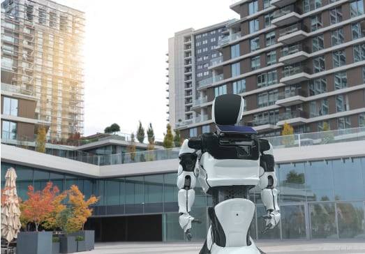 이미지 셔터스톡