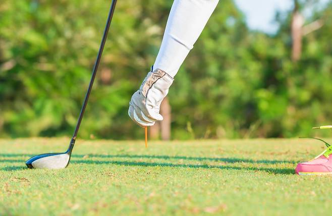 [게티이미지뱅크]