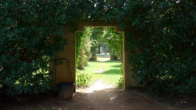 천리포수목원에 비해 크기는 작지만 독특한 매력을 지닌 청산수목원