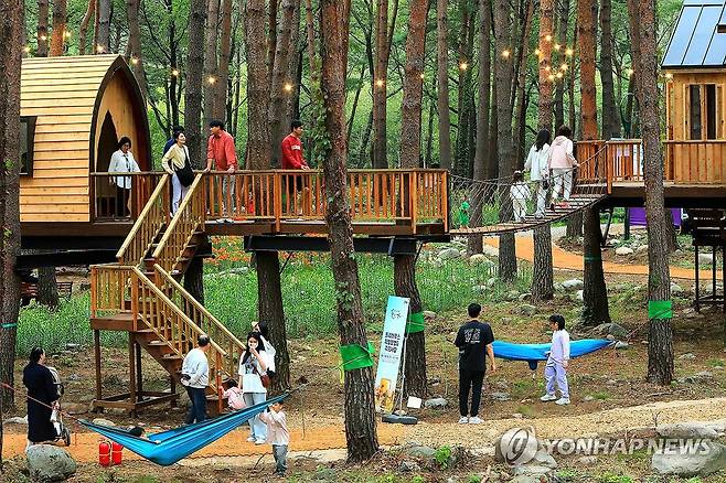 인제 가을꽃축제에서 '힐링하길' (인제=연합뉴스) 8일 강원 인제군 북면 용대관광지 일원에서 열린 가을꽃축제장 내 '힐링하길' 코스에서 가족 단위 관광객들이 즐겁게 보내고 있다.
    가을꽃축제장은 행복하길·사랑하길·소통하길·힐링하길 등 네 가지 주제로 나뉘어 있으며, 소나무 숲길인 힐링하길에는 숲 카페, 트리 클라이밍 체험장, 트리하우스 체험장, 미니정원, 백합정원 등으로 꾸며져 있다. 2025.10.8 [인제군 제공. 재판매 및 DB 금지] conanys@yna.co.kr