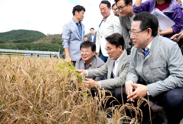 김민석 국무총리와 김영록 전남지사가 지난 7일 오후 벼 깨씨무늬병 피해지역인 장흥군 안양면 해창리 일원을 방문해 피해 상황을 점검하고 있다.  <전남도 제공>