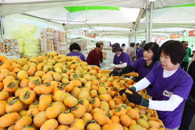 지난해 청도반시축제 현장 모습. 청도군 제공