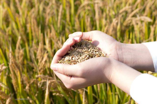 게티이미지뱅크