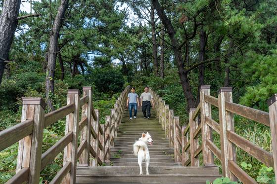방축도 마스코트 ‘덕순이’.