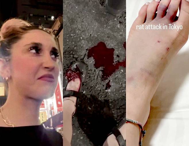 사진=인스타그램 yogitutty