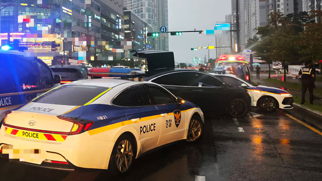 차량절도범 검거  [경기남부소방본부 제공]