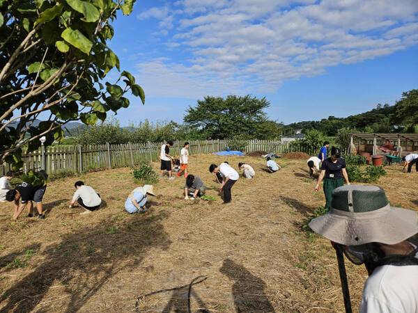 산마을고등학교의 학생들이 생태농업 수업을 하고 있다. 산마을고등학교 제공
