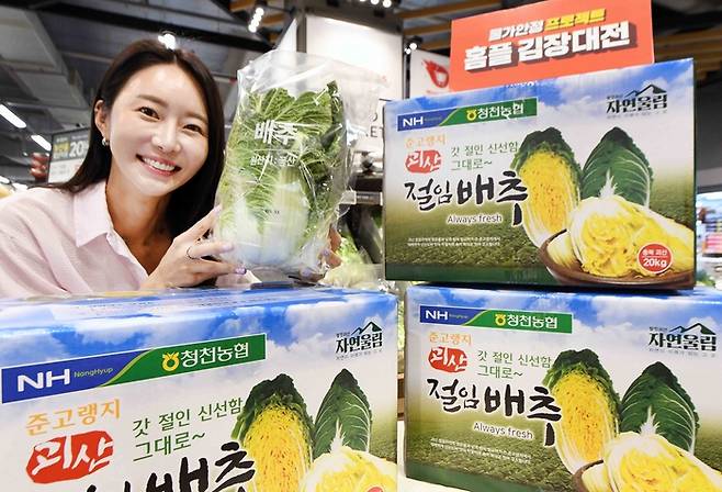 모델이 2일 서울 등촌동 ‘홈플러스 메가 푸드 마켓 라이브’ 강서점에서 ‘홈플 김장대전 절임배추 사전예약’을 소개하고 있다. 홈플러스