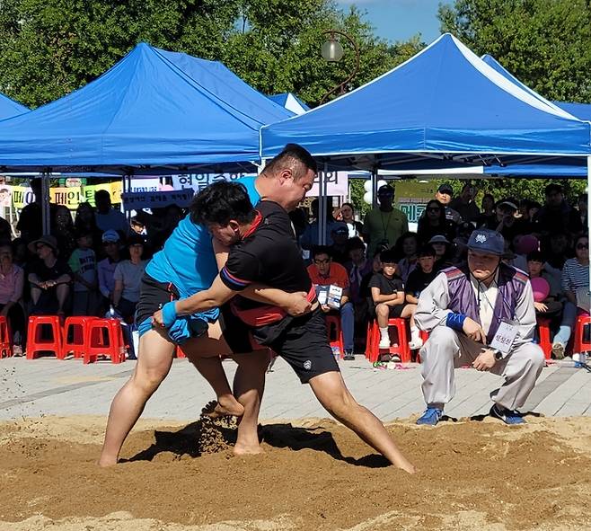▲ 고아읍 들성생태공원 여우광장에서 열린 고아읍민 씨름대회에 단체전에 출전한 선수들이 팀의 명예를 걸고 혼신의 힘을 다해 기술을 구사하고 있다.이봉한 기자