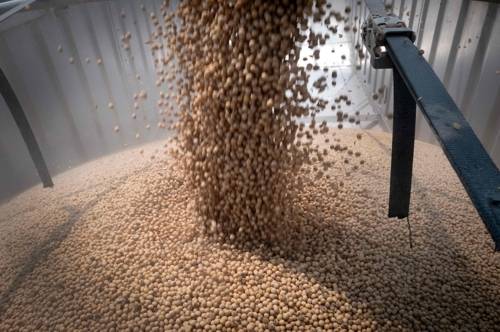 지난 8월1일 미국 일리노이주 드와이트의 한 곡물창고에 운반된 대두. [AFP = 연합뉴스]