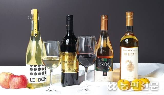 비포도 와인. (왼쪽부터) 충북 충주 작은알자스 ‘레돔 시드르’, 전북 부안 내변산양조장 ‘멀베리 누보’, 강원 삼척 너와마을영농조합 ‘끌로너와 도레’, 제주 서귀포 시트러스 ‘마셔블랑’.