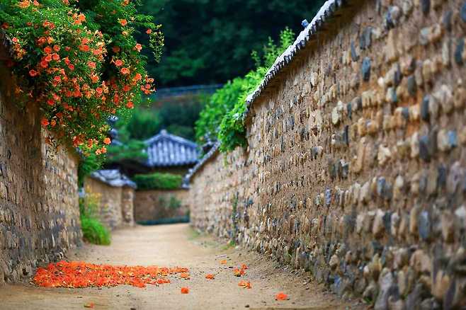 도심속 한옥마을로 유명한 남평문씨본리세거지.