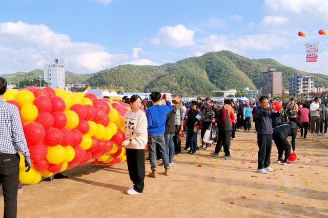 지난해 청송사과축제 '황금사과를 찾아라' 프로그램 진행 장면. 청송군 제공