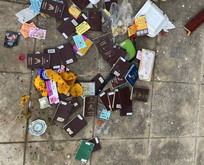 캄보디아 길거리에 있는 한 쓰레기통에서 여권이 무더기로 발견된 모습을 담은 사진. /온라인 커뮤니티 캡처