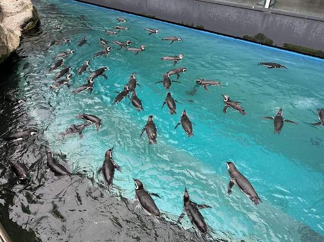 0490f719bc846af720b5c6b236ef203eee4faf81773f3429de