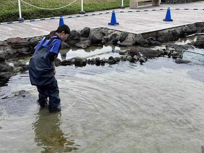 0490f719bc846bf420b5c6b236ef203e308007f2764f640cdd