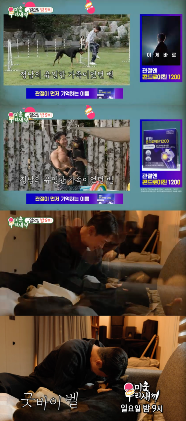 배정남과 반려견 벨 / SBS '미운 우리 새끼'