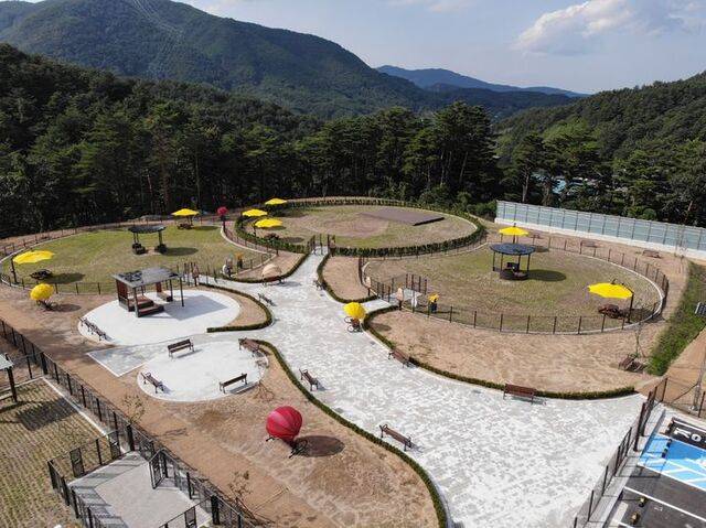 내년에 무료로 개방 예정인 강원 강릉시 ‘펫파크’의 조감도. 강릉시