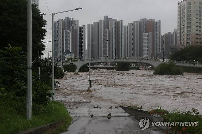 불어난 중랑천. 해당 기사와 관련 없습니다.  [연합뉴스 자료사진]
