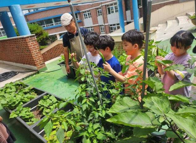 학돌초 학생들이 농장체험에 참여하고 있다. /충남교육청 제공