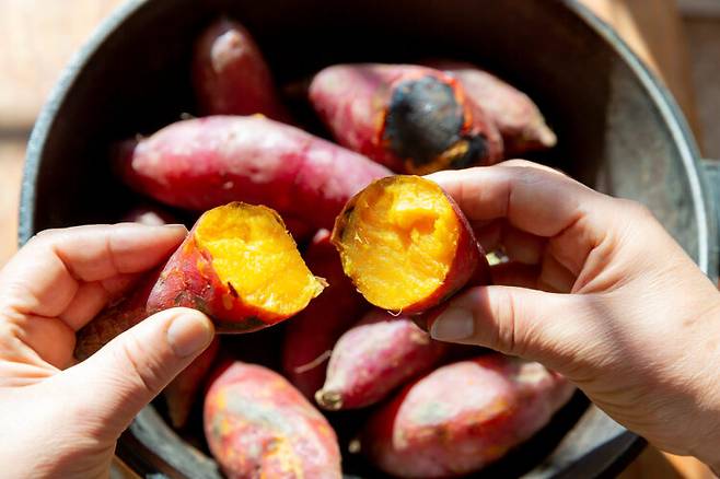 고구마에는 비타민E가 풍부하다. 비타민E는 콜레스테롤 수치를 낮추고, 세포 노화를 방지하는 등의 효능을 갖고 있다. 사진=클립아트코리아