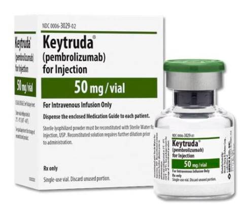 MSD의 면역항암제 ‘키트루다.' 사진은 정맥주사 제형이다. /MSD