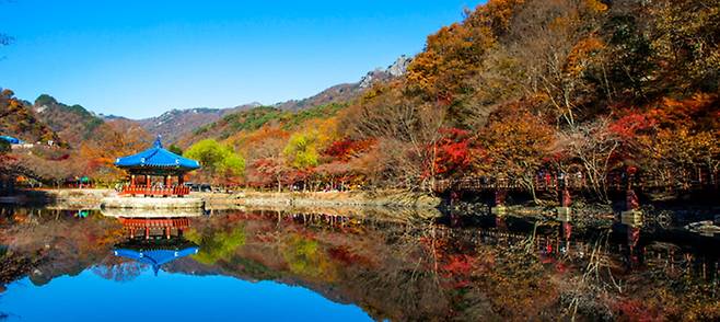 Naejangsan National Park (Korea Tourism Organization)