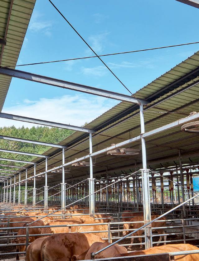 개폐식 지붕으로 채광을 충분히 확보해 바닥을 고슬고슬하게 건조한다.