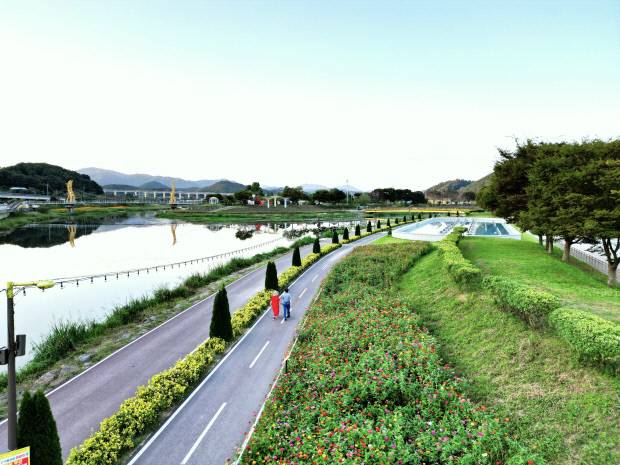 황룡정원 백일홍 꽃밭