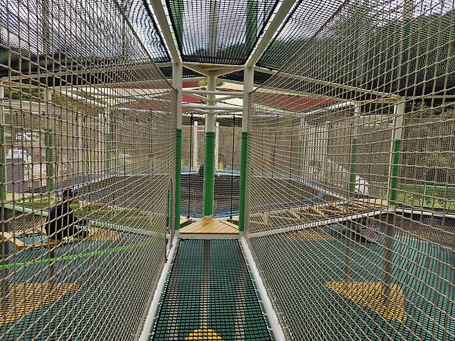 트램펄린 이동하는 길.