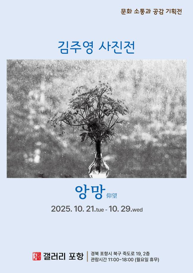 ▲ 김주영 사진전 -앙망-갤러리포항 -엽서 앞면