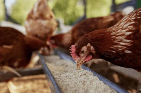 (사진=구글 이미지 갈무리)