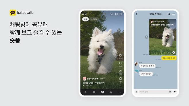 카카오톡 내 '숏폼' 탭 (카카오 제공)