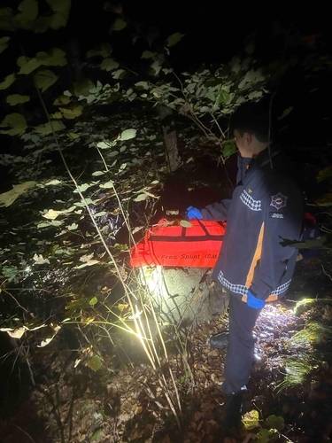 ▲ 수색하는 119 대원들 모습 [강원특별자치도소방본부 제공]