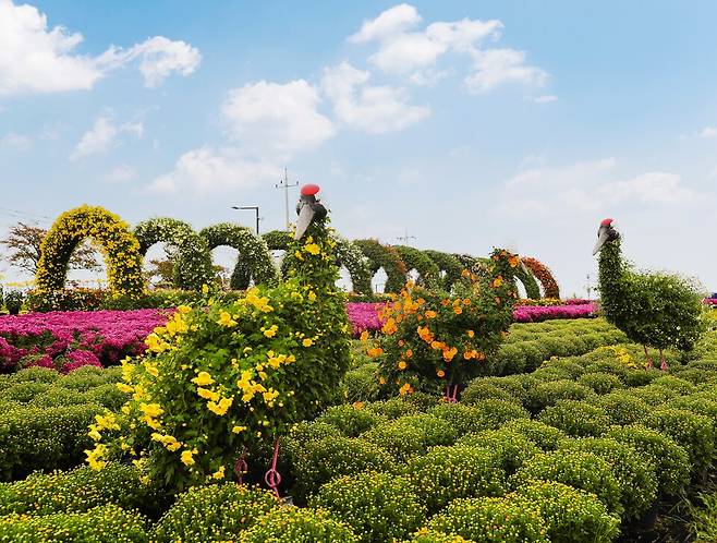 연천국화축제의 국화 작품들ⓒ연천군 제공