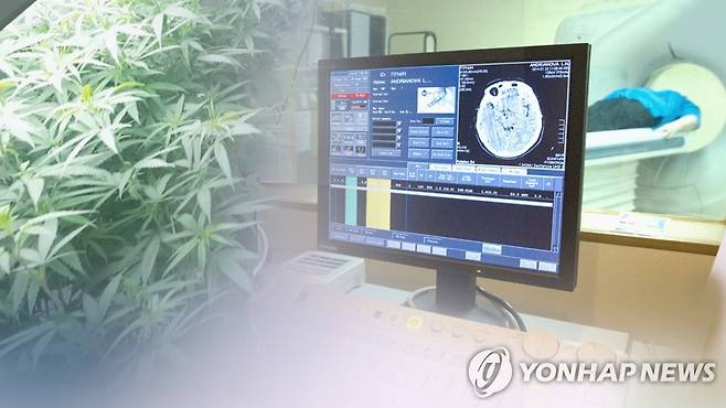 의료용 대마(CG) [연합뉴스TV 제공]