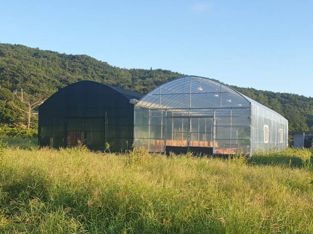 전시관으로 활용될 대형 비닐하우스. 웅천 국제 아트페스타 제공