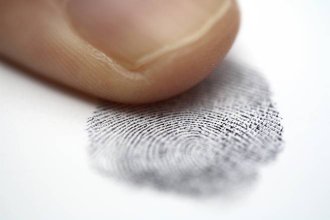 (클립아트코리아)