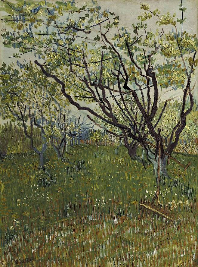 빈센트 반 고흐, ‘꽃 피는 과수원’(1888년), 캔버스에 유화, 72.4×53.3㎝. 메트로폴리탄박물관. /국립중앙박물관