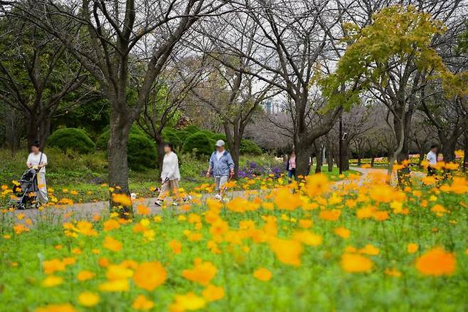 인천 서구 드림파크 야생화 단지에서 시민들이 산책을 하고있다. ⓒ수도권매립지관리공사 제공