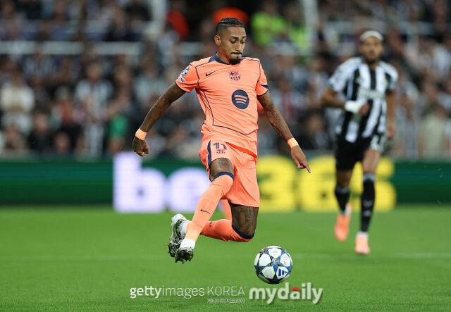 하피냐/게티이미지코리아