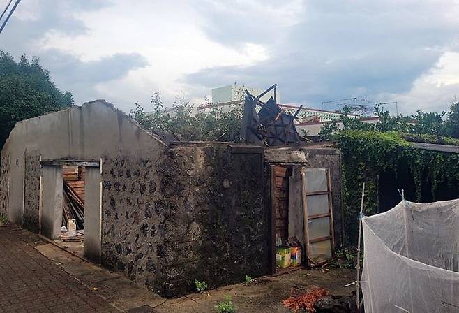 [서귀포=뉴시스] 지난 15일 오후 제주 서귀포시 남원읍 태흥리 마을을 휩쓴 용오름 현상 탓에 비닐하우스가 날아가고, 감귤이 떨어지는 등 피해가 발생했다. 사진은 용오름 피해 모습. (사진=독자 제공) photo@newsis.com  *재판매 및 DB 금지