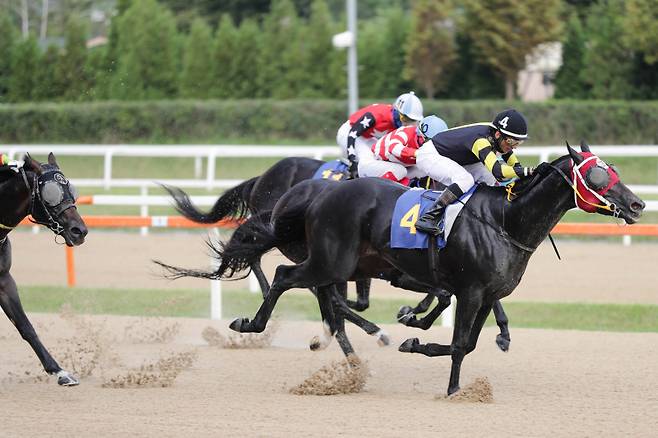너트플레이. 사진=한국마사회