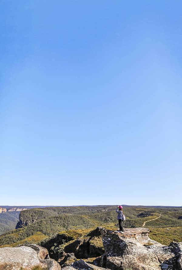 뱅크스산 등산 중 뒤돌아 본 블루마운틴 전경. 우리나라 산과 다르게 대체로 평평한 고원지대다.