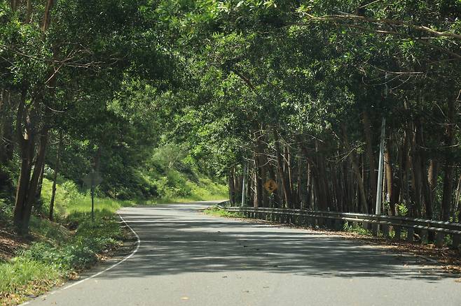 16일 오후 캄보디아 수도 프놈펜에서 200km 떨어진 보코 산 국립공원 중턱. 차로 1시간 넘게 산을 올라야 범죄단지가 나온다. 오르는 길이 하나뿐이라 몸을 숨기며 도망치기 어려워 보였다. /박성원 기자