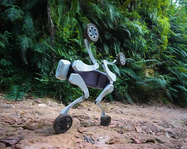 출처=더우인(34077079191)