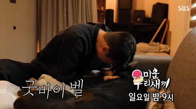 모델 겸 배우 배정남이 유일한 가족이었던 반려견 벨을 떠나보내는 모습이 공개되어 안타까움을 주고 있다. SBS 예능 프로그램 '미운 우리 새끼'(미우새)는 배정남과 벨의 마지막 순간을 담은 예고를 공개했다. 배정남은 숨이 멎은 벨을 품에 안고 "일어나 봐라", "아빠가 미안하다"며 오열했다. 벨은 과거 전신마비와 근육암 투병을 이겨냈으나, 최근 갑작스러운 심장마비로 세상을 떠났다. 배정남의 지극정성 간호로 기적 같은 회복을 보여줬던 벨이었기에 슬픔은 더욱 크다. 배정남과 벨의 마지막 이야기는 '미운 우리 새끼'(미우새) 본방송을 통해 공개될 예정이다.