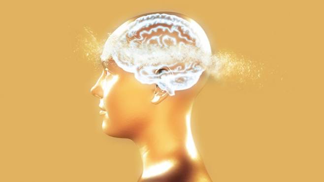 알츠하이머병은 뇌 조직 내에 단백질인 베타 아밀로이드와 타우 단백질이라는 물질이 엉키고 쌓이는 것이 주요 특징이다. 두 물질은 뇌 기능을 방해하고 신경세포 사멸을 유발해 인지 기능을 저하시킨다. 게티이미지뱅크 제공